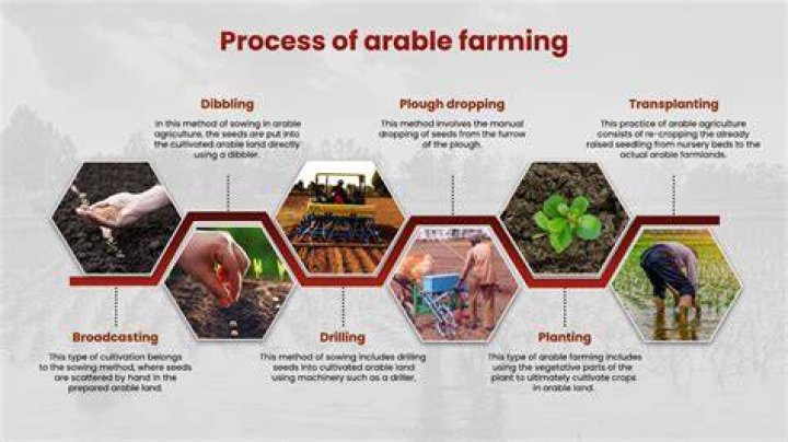 Is arable farming profitable?
