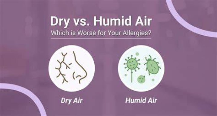 Is Arizona humid or dry?