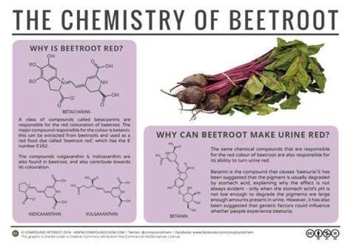 Is beetroot high in estrogen?
