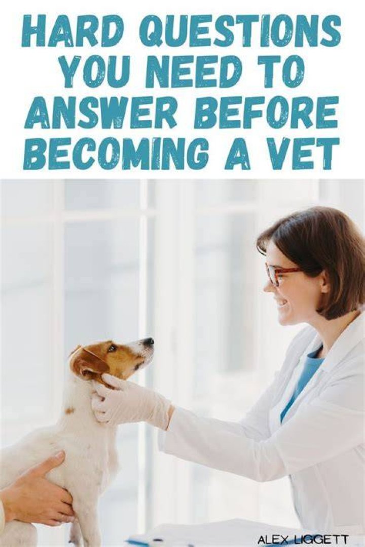 Is being a vet or doctor harder?