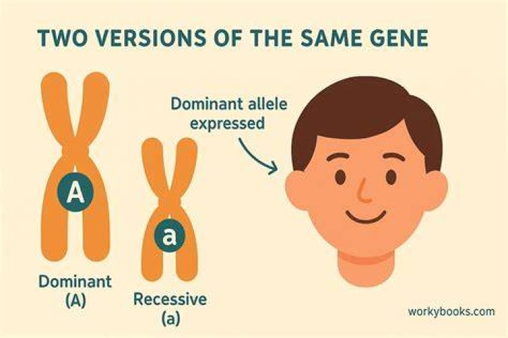 Is being pale a dominant gene?
