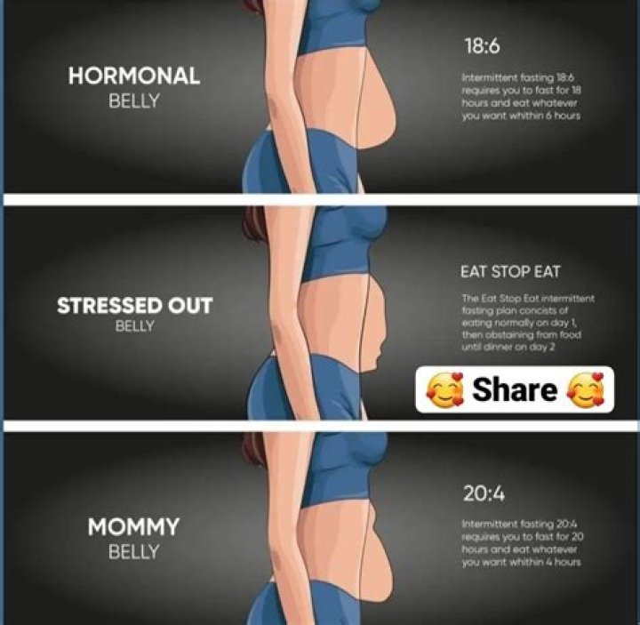 Is belly fat hard or squishy?