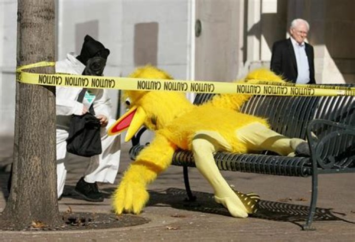 Is Big Bird dead?