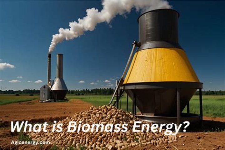 Is biomass energy viable?