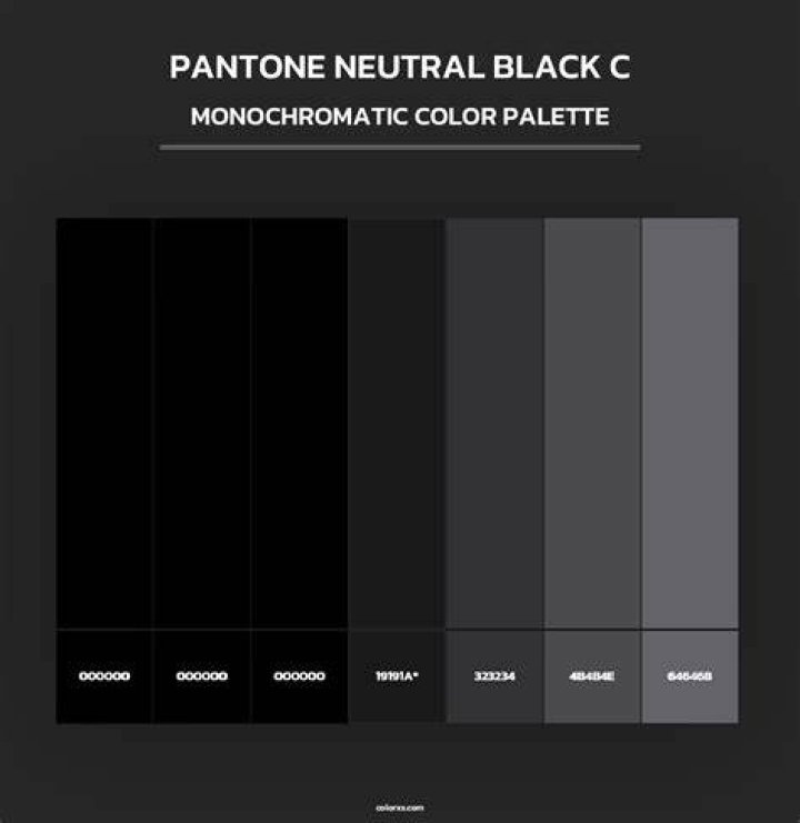 Is black a neutral color?