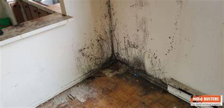 Is black mold flaky?