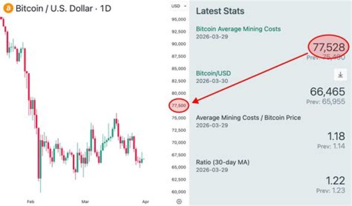 Is BTC dying?