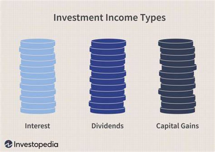 Is business income considered investment income?