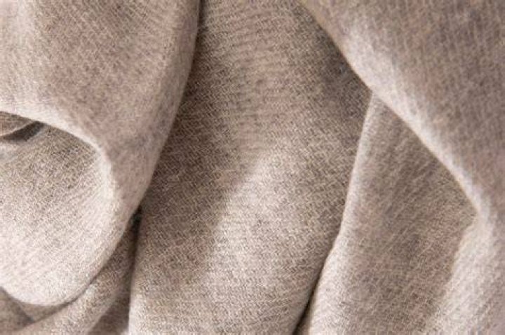 Is cashmere wool?