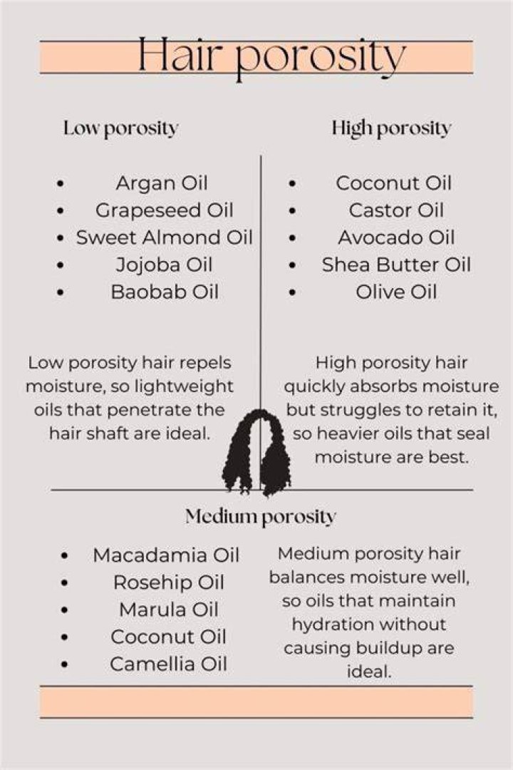 Is castor oil good for high porosity hair?