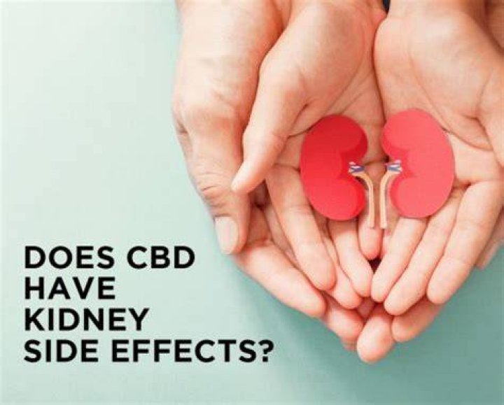 Is CBD oil good for kidneys?