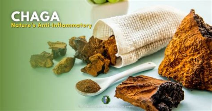 Is chaga good for parasites?