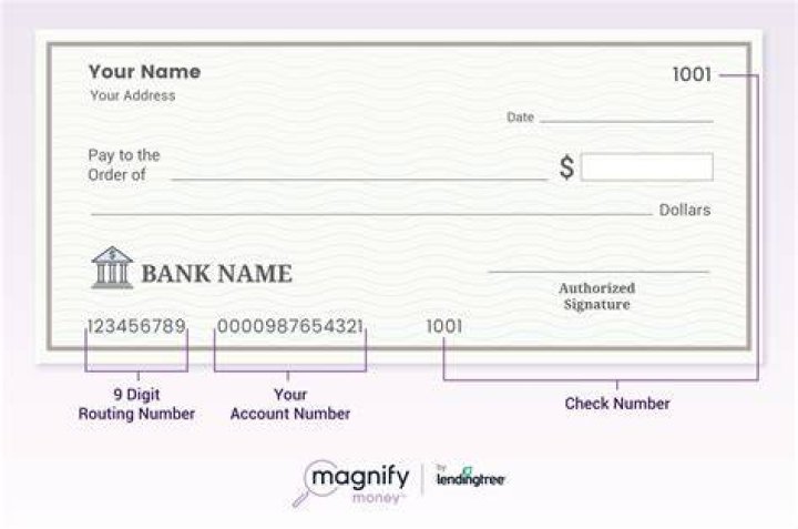 Is check number part of account number?