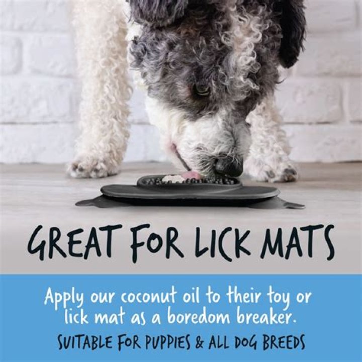 Is coconut oil good for dog mats?