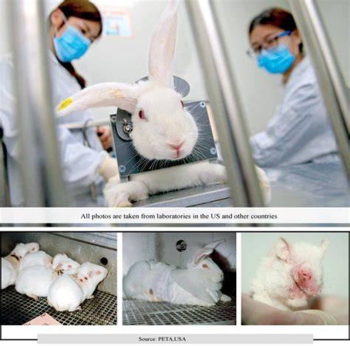 Is cosmetic testing on animals necessary?