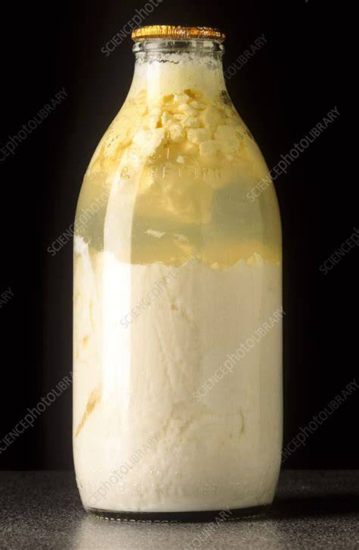 Is curdled milk spoiled?