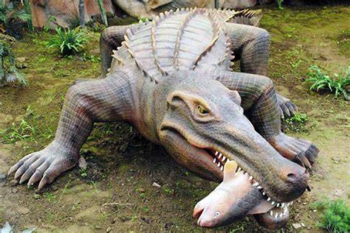 Is dinosaur is a biggest reptile?