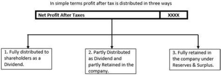 Is dividend distributed profit?