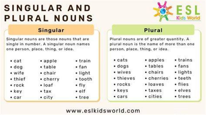 Is Dung singular or plural?