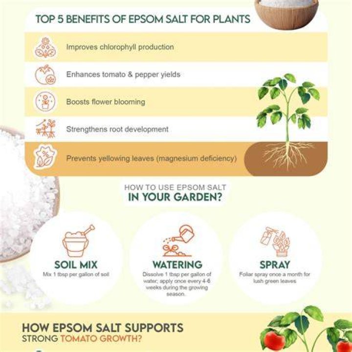 Is Epsom salt good for palms?