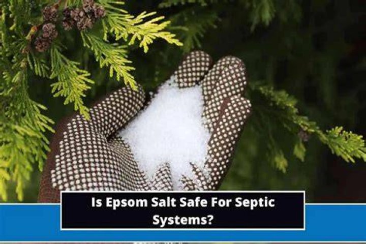 Is Epsom salt OK for septic systems?