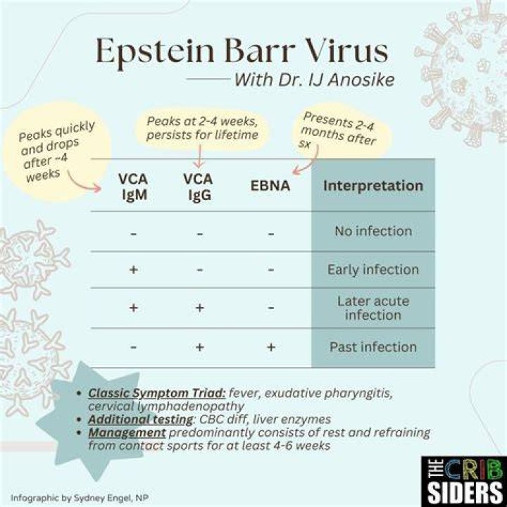 Is Epstein-Barr the same as mono?