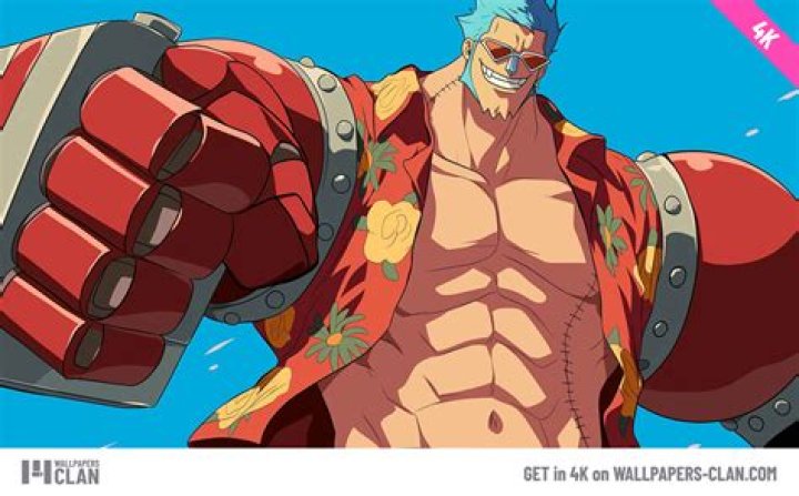 Is Franky a better shipwright than iceberg?