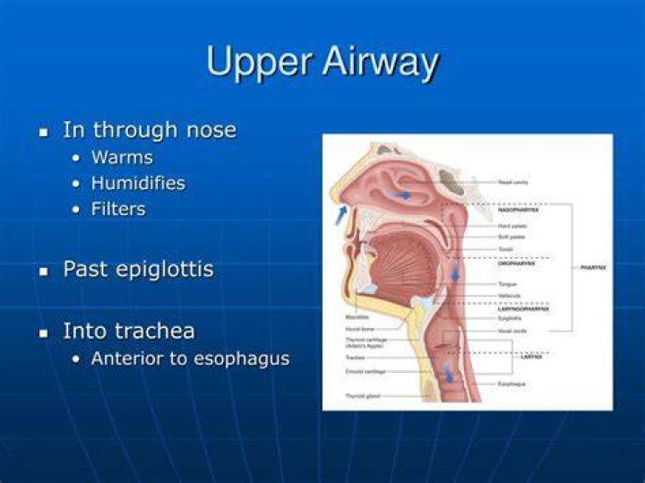 Is gurgling upper or lower airway?