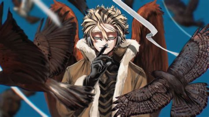 Is Hawks a hero or villain?
