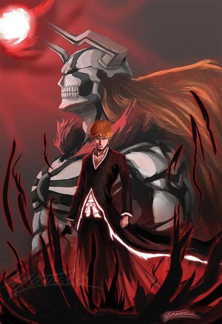 Is Hollow Ichigo a Vasto Lorde?