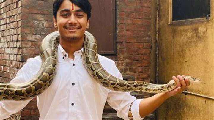 Is India cruel to animals?