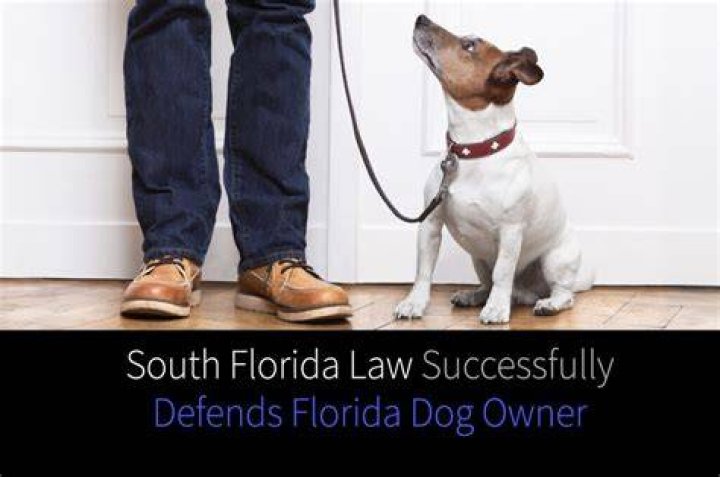 Is it a law to have your dog on a leash in Florida?