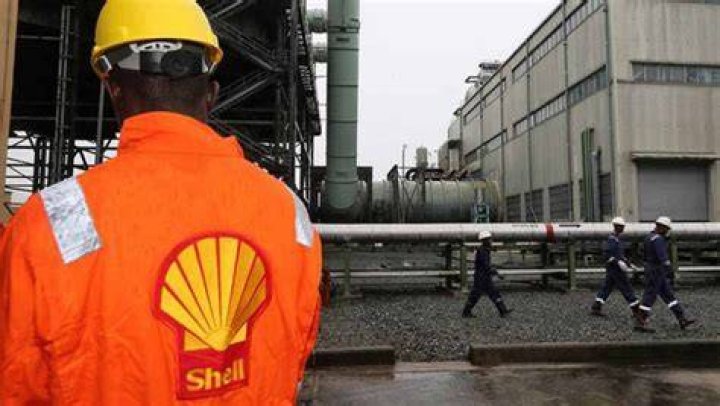 Is it good to invest in a shell company?