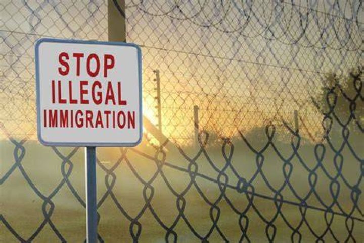 Is it illegal to debark in the US?