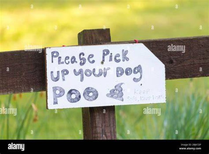 Is it illegal to not pick up dog poop?