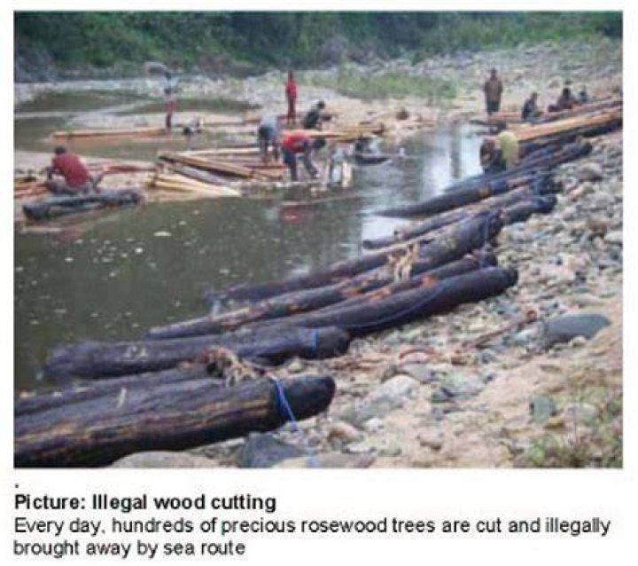 Is it illegal to own rosewood?