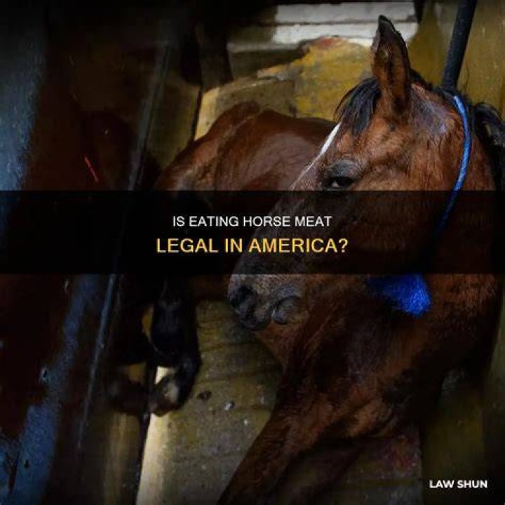 Is it legal to eat horse in Texas?
