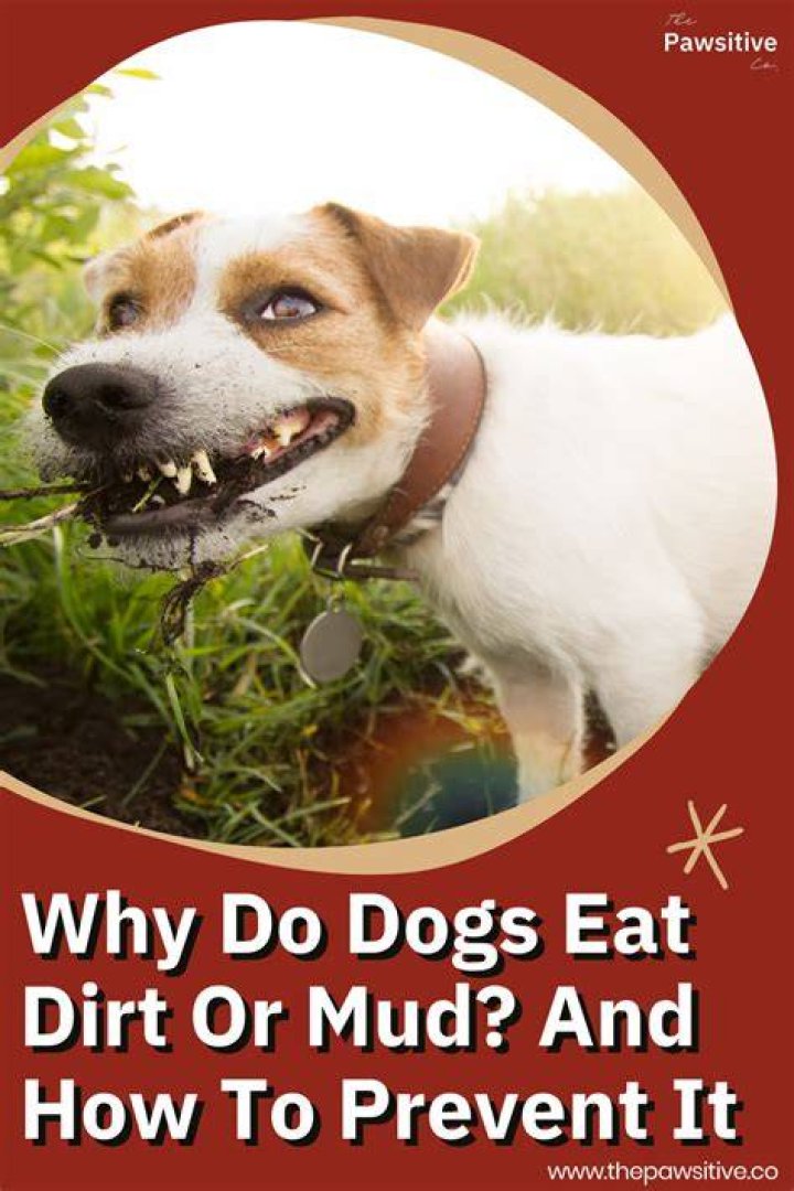 Is it normal to eat dirt?