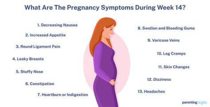 Is it normal to not feel anything at 14 weeks pregnant?