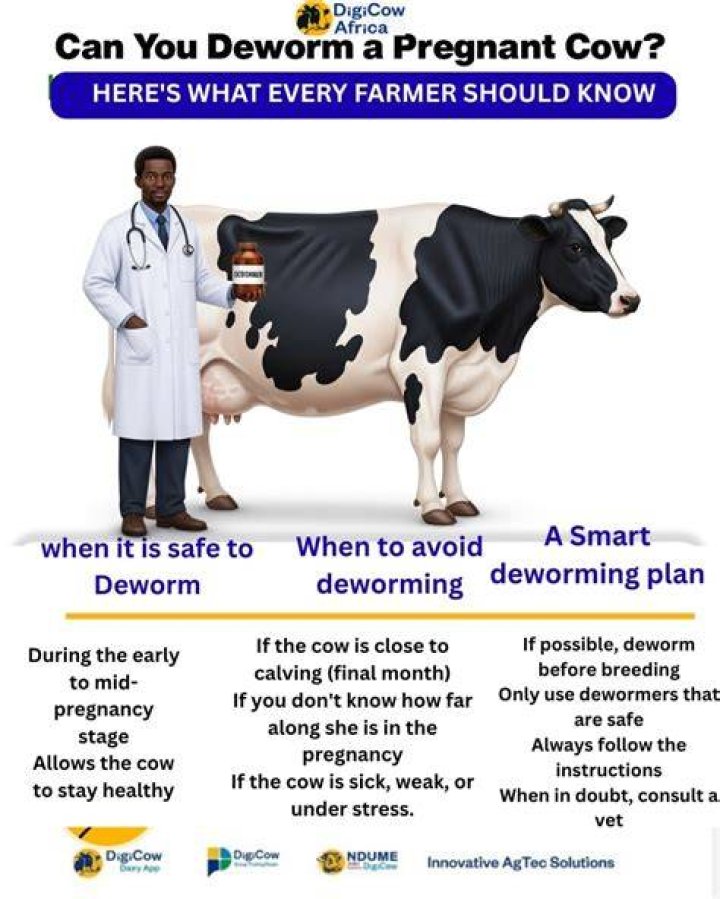 Is it OK to deworm every month?