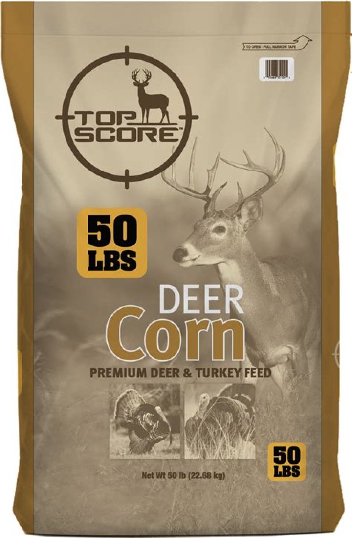 Is it OK to feed deer corn?