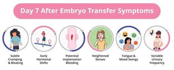 Is it OK to stand after embryo transfer?