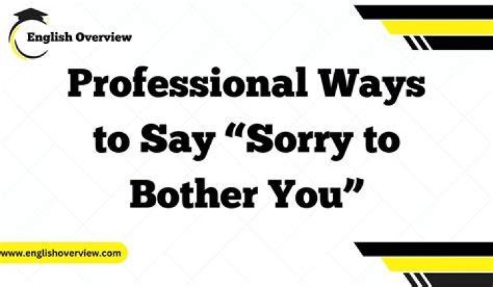 Is it sorry to trouble you again or sorry to Bother you Again?