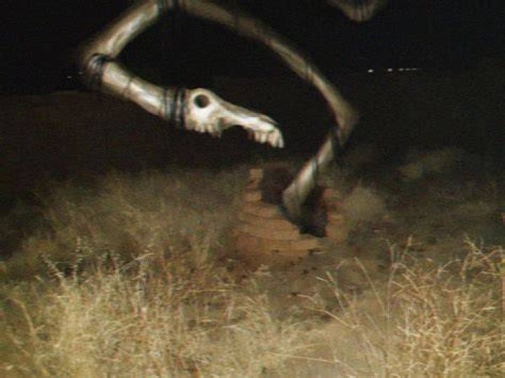 Is long horse real?