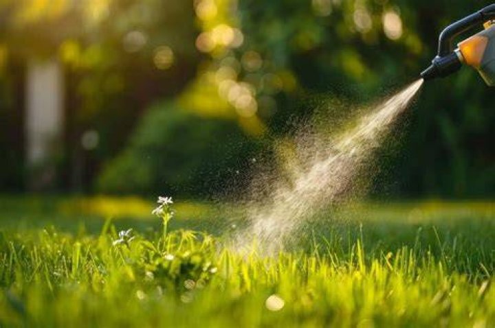Is March too early to spray weeds?