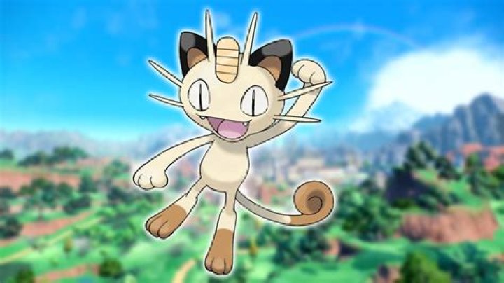 Is meowth a cat?