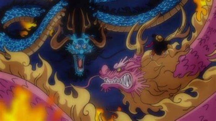 Is Momonosuke Devil Fruit same as Kaido?