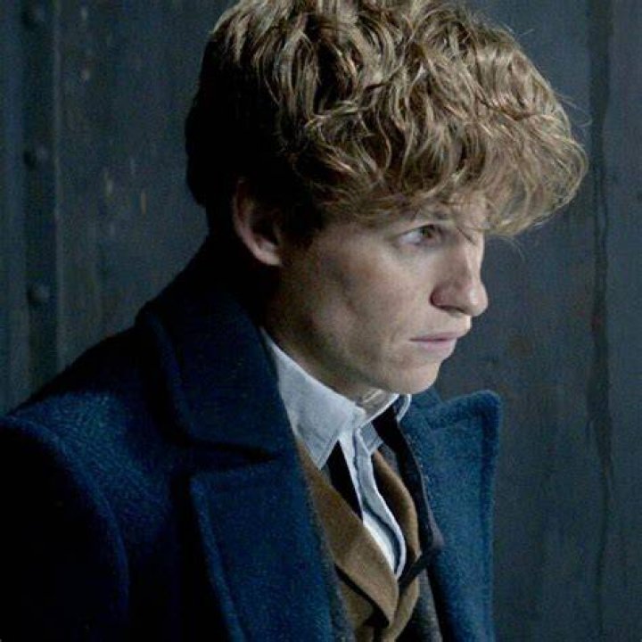 Is Newt Scamander a pure-blood?
