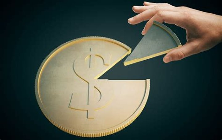 Is owning stock owning part of a company?