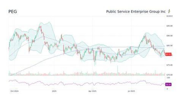 Is peg stock a good buy?